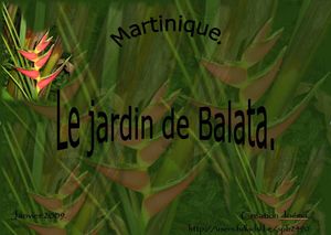 jardin_de_balata_1