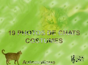 19_photos_de_chats_costumes_chantha
