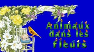 animaux_et_fleurs_maumau