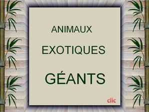 animaux_exotiques_geants