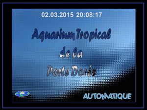 aquarium_tropical_de_la_porte_doree_chantha