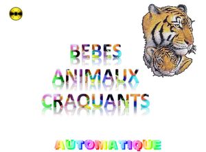 bebes_animaux_craquants_chantha