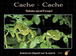 cache_cache_papiniel