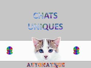 chats_uniques_chantha