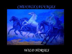 chevaux_sauvages