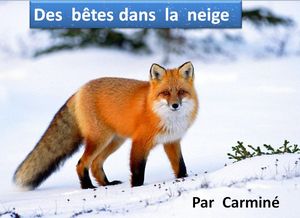 des_betes_dans_la_neige