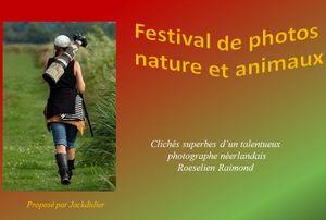 festival_de_photos_nature_et_animaux_jackdidier