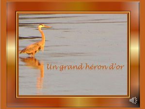 heron_d_or_reginald_day