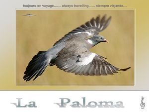 la_paloma