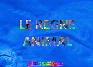 le_regne_animal_chantha
