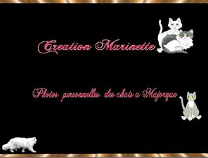 les_chats_de_mallorca_marinette