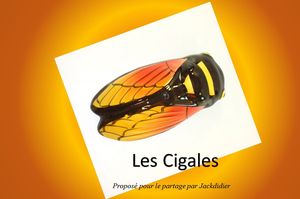 les_cigales_jackdidier