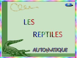 les_reptiles_chantha