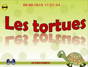 les_tortues_chantha