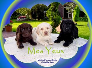mes_yeux