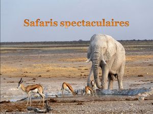 safaris_spectaculaires_pancho