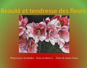 beaute_et_tendresse_des_fleurs_jackdidier