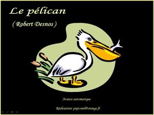 le_pelican_papiniel