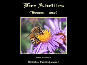 les_abeilles_bourvil_papiniel