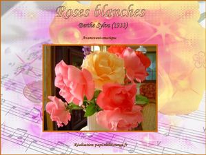roses_blanches_papiniel