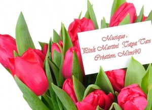 tulipes__pink__martini_taya_tan__mimi_40