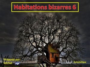 habitations_bizarres_6_michel