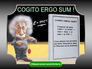 cogito_ergo_sum_test