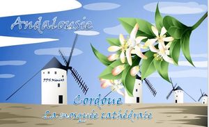andalousie_cordoue_la_mosquee_cathedrale_mimi_40