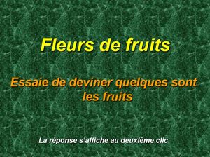 fleurs_de_fruits