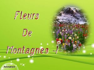 fleurs_de_montagnes_1_dede_51