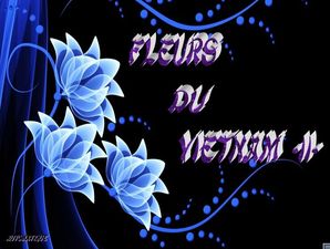 fleurs_du_vietnam_2_dede_51