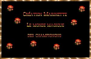 les_champignons_magiques_marinette