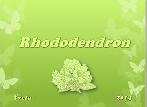 rhododendron_yveta