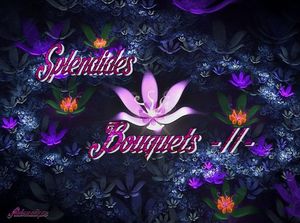 splendides_bouquets_2_dede_51