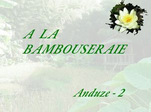 anduze_2_la_bambouseraie