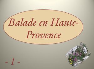balade_haute_provence_1_marijo
