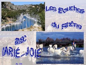 les_bouches_du_rhone_ariejoie