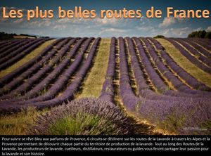 les_plus_belles_routes_de_france_pancho