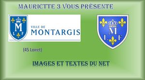 montargis_mauricette3
