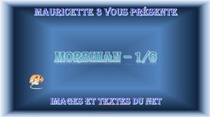 morbihan_1_mauricette3