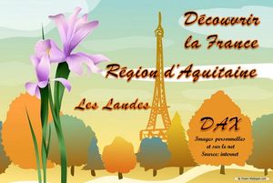 region_d_aquitaine__les_landes_dax