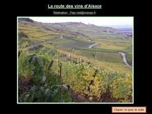 route_des_vins_d_alsace_papiniel