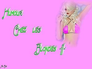 humour_chez_les_blondes_2_dede_51