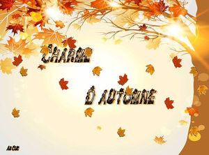 charme_d_automne_dede_51