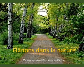flanons_dans_la_nature_jackdidier