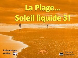 la_plage_soleil_liquide_3_michel