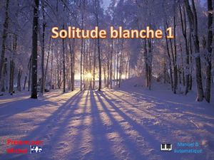 solitude_blanche_1_michel