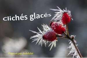 cliches_glaces_jackdidier