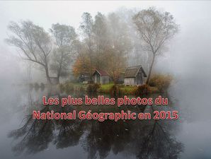 les_plus_belles_photos_de_national_geographic_2015_pancho