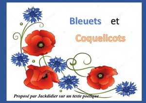 bleuets_et_coquelicots_jackdidier